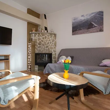 Apartament Droga Na Bystre Zakopane Exterior photo